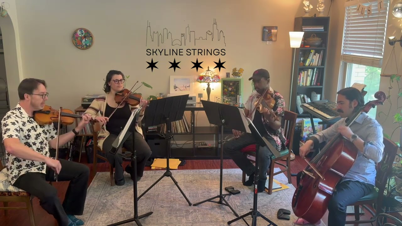 Promotional video thumbnail 3 for Skyline Strings