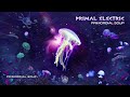Primal Electric ▶ Primordial Soup (NEW PSYCHILL EP)
