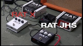 JHS ProCo Rat 
