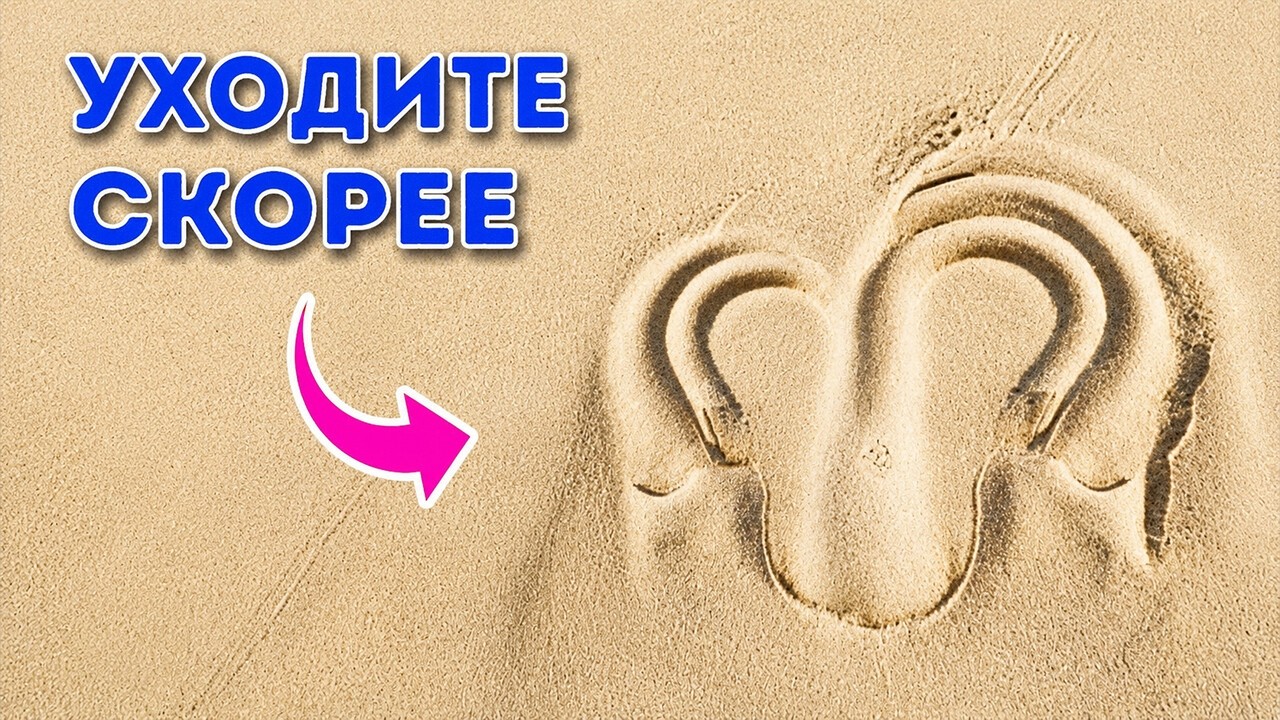 Увидели этот знак на песке? Лучше сразу отойдите