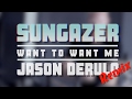 Want to Want Me - Sungazer by Adam Neely