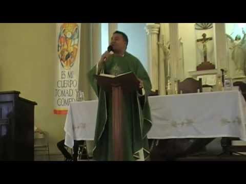 homilia 10 julio 14