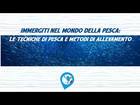 , title : 'BuonPescato Siciliano a Scuola - Le Tecniche di Pesca'