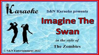 S&amp;N Karaoke - The Zombies - Imagine The swan