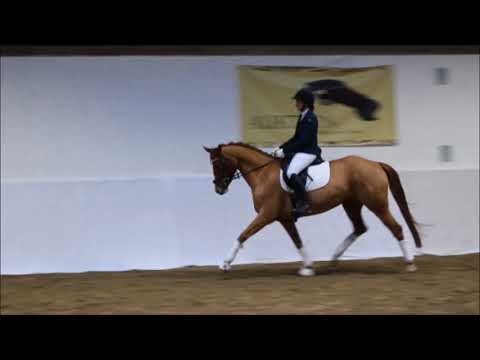 Quaterhall x Pik Noir xx