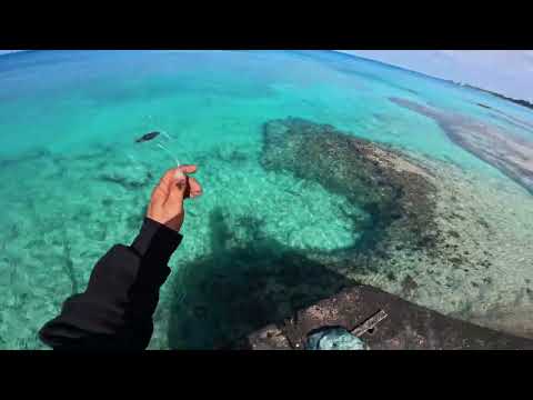 Squid Catching Masterclass That Will Leave You Speechless!!🦑🔥