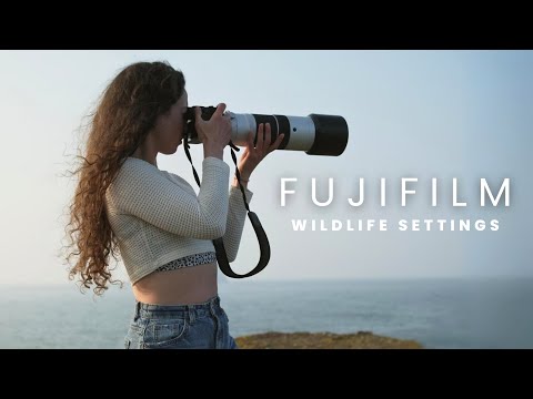 Fujifilm X-H2S & XH2 Settings | Wildlife Photography & Videography