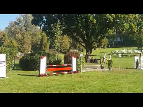 ZKV Weekend 2021 - KRV Bolligen 3er Zügli Springen