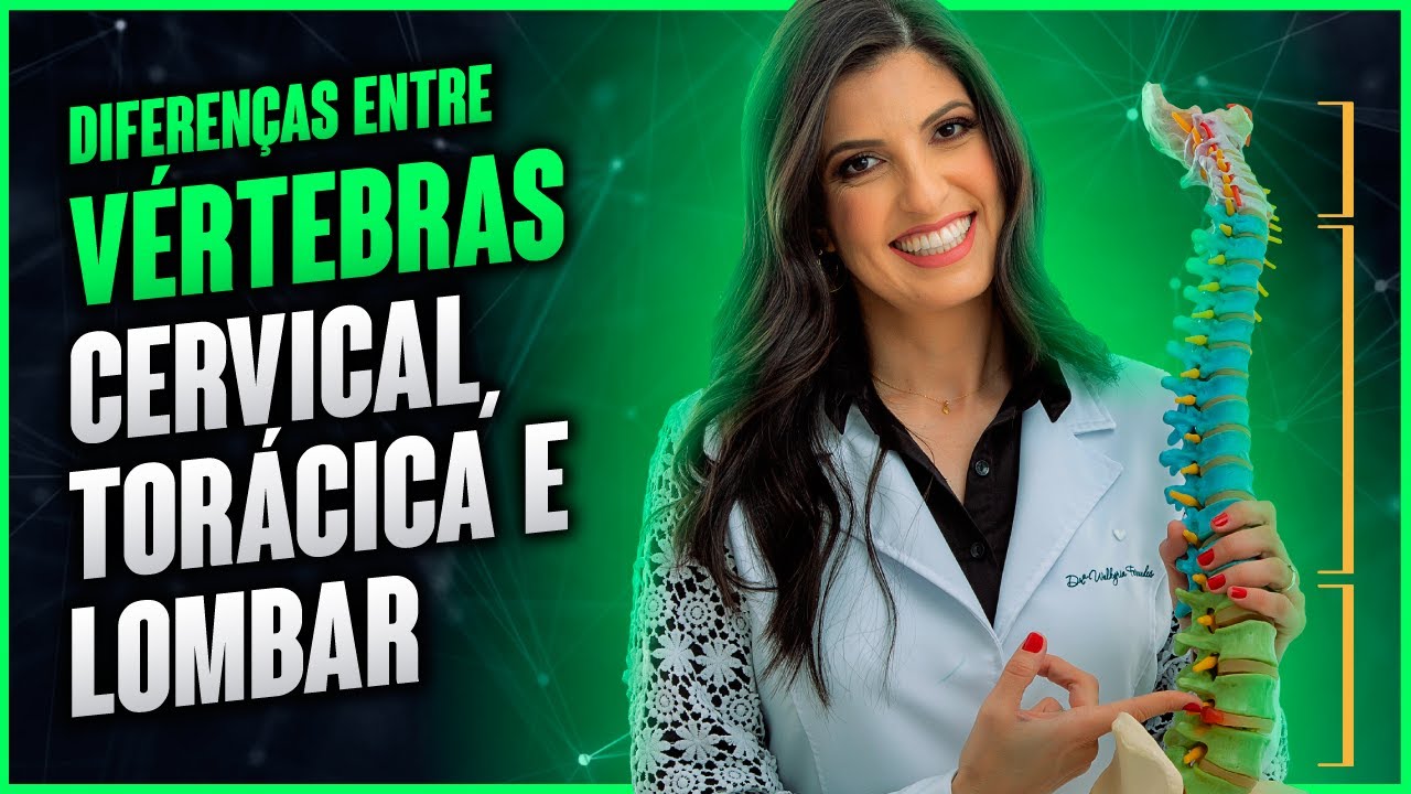 Diferenças entre vértebras cervical, torácica e lombar por Dra. Walkyria Fernandes