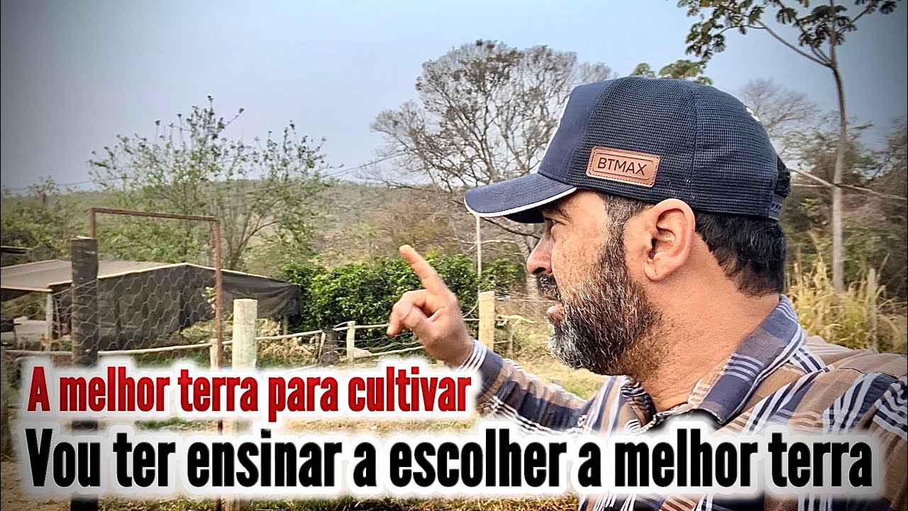 QUAL É MELHOR : TERRA VERMELHA , AMARELA, ROXA, CASCALHO OU PIÇARRA.