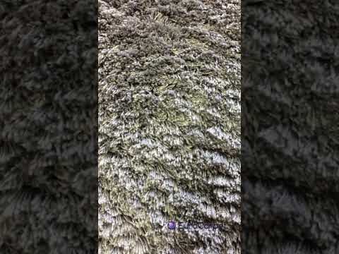 Килим SILK SHAGGY GRAY