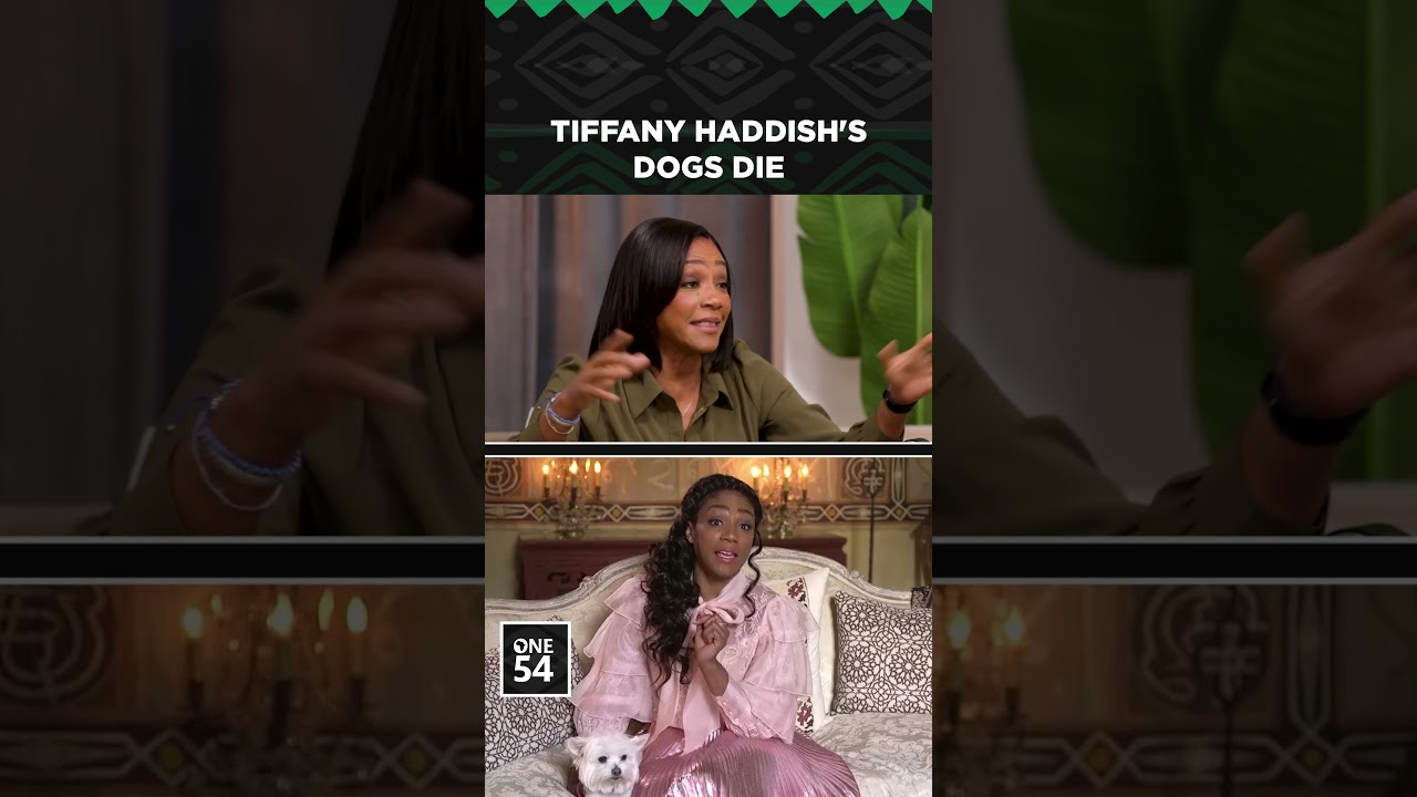 Tiffany Haddish's Dogs Die | One54 Africa Podcast