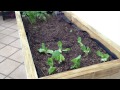 Video de microempresa huertos