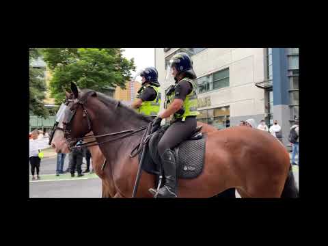Mounted #police officers in #Leeds for Freedom March