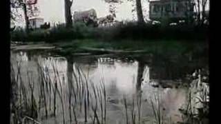 Krev toulavá Krev toulavá