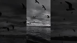 Download lagu Hola senorita - Gims and Maluma #ytshorts #songlyrics #song #edit #music #trending #shorts mp3