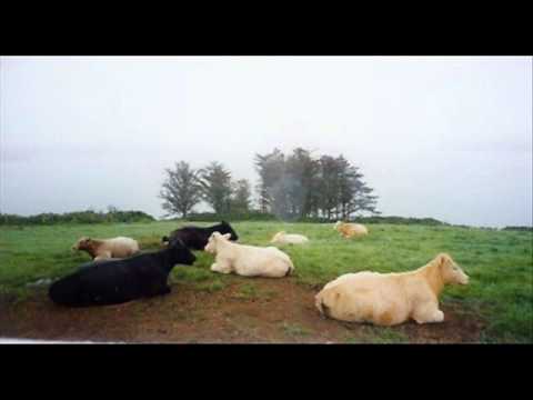 Thumbnail for (Slides) Padraig O'keeffe's Favourite, Bunratty Boys - Flute Solo.wmv by Ratt