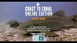 Leopard Sharks