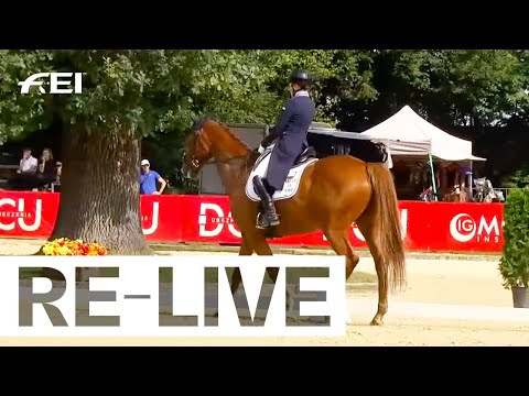 Dressage Day 2 CH-EU-J-CCI2*-L I FEI Eventing European Championship for Young Riders and Juniors