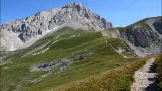 Sting - When the Angels Falls