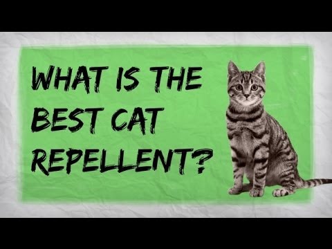 Natural Cat Repellent | BEST Indoor and Outdoor Repellents for Training Cats | Furniture Spray