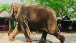 A street in Havelock Island
