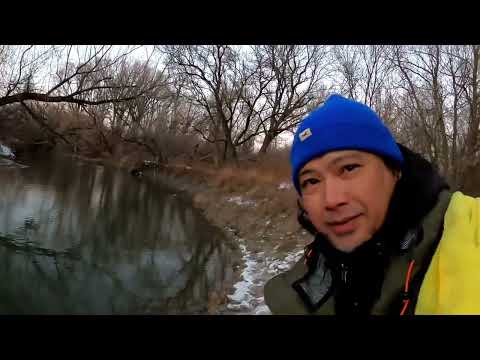 Winter Steelhead In Small Creek!!!!