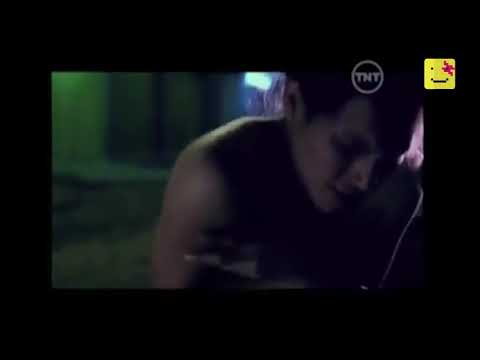 la pandemia de la discriminación contra la comunidad trans