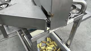Купить овощерезательную машину Wedges - Изображение 4 | Machineryline AM Овощерезательная машина Wedges | Изображение 4 - Machineryline