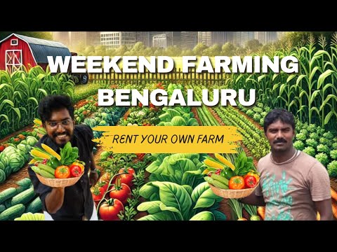First Time A Person converting Bangalore 🔥 to Organic City 👨‍🌾 | AgroTill | #agribusiness #farming
