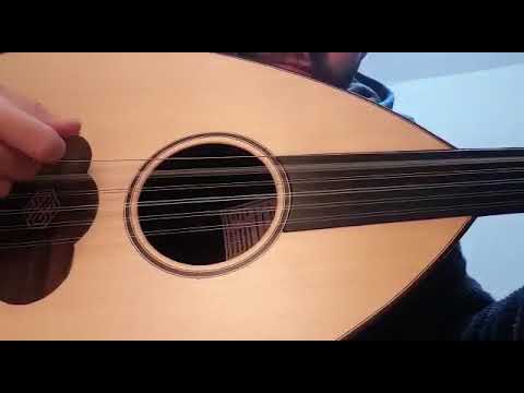 Aquila 13O New Nylgut Arabic 11-String Oud String Set - Light Tension 2010s - Nylon image 3