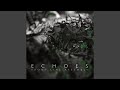 Echogenetic (Blush Response)