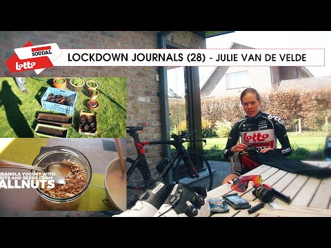 LOCKDOWN JOURNALS (28) - Julie Van de Velde