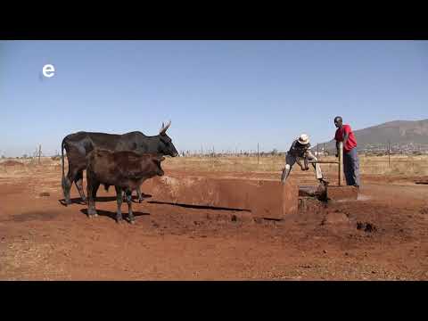 Checkpoint Ep 264 eTV