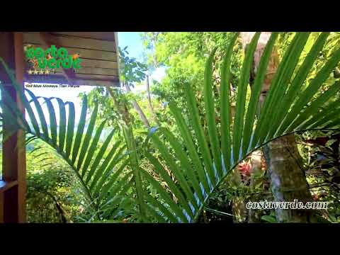 Hotel Costa Verde - Bungalow E5