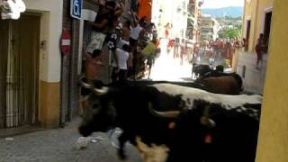 preview picture of video 'Encierro de Blanca (Murcia) 2009 (parte 4 de 6)'