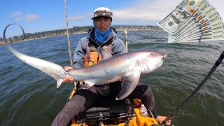 Making Money Kayak Fishing, THRESHER SHARKS on the Kayak