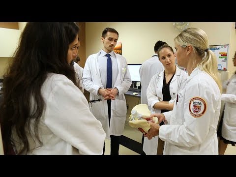 Obstetrics and Gynecology Residency Program at Loyola Medicine