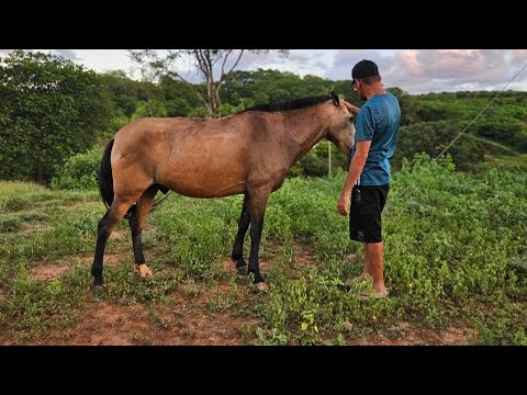 Araçuaí – MG | Córrego Fundo | Casa da tia Dilma