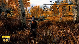 SKYRIM УЛЬТРА ГРАФИКА 4K! ЛУЧШАЯ СБОРКА МОДОВ!/NEXT GEN ULTRA 4K GRAPHICS MODS!