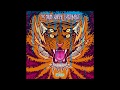 Chuck Norris Experiment - Shortcuts - Full album 2019 Chuck Norris Experiment - Shortcuts - Full album 2019