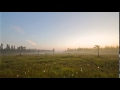 Imageline Marshland Dawn