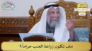 31 - متى تكون زراعة العنب حراماً؟ - عثمان الخميس