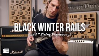 Video thumbnail for Seymour Duncan Black Winter Rails – 6 & 7 String Playthrough by Seymour Duncan