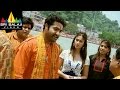 Shakti Movie MS And Jr NTR Dialogue Scene Jr NTR Ileana Sri Balaji Video