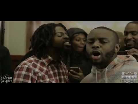 King Animal vs Fresco North