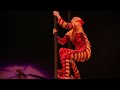 Cirque Du Soleil OVO  (Chinese Poles)