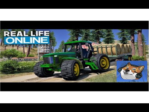 RUMPE ALLS BAUER. CSYON Stream Highlights