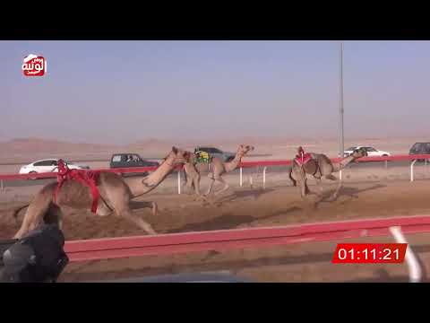  ش 20 (الشاهينيه) لـ عبدالرافع السوداني 2:11:19 , شارة الصندوق 2026/07/04 فطامين الوقن 