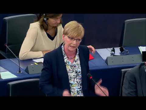 MdEP Gabi Zimmer (DIE LINKE.) Fraktionsvorsitzende der GUE/NGL, zur Tagung des Europäischen Rates